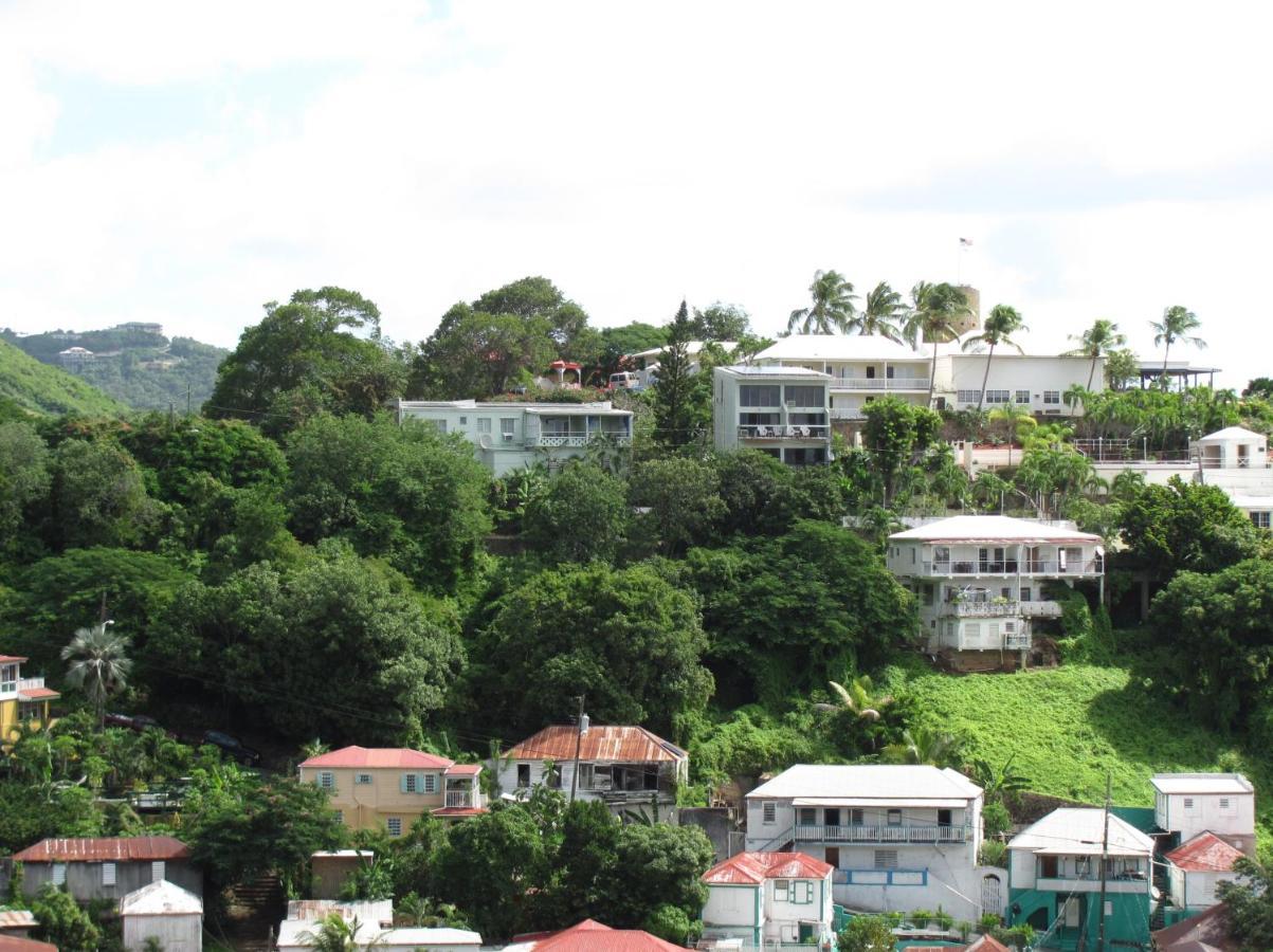 The Green Iguana Hotel Charlotte Amalie Eksteriør billede