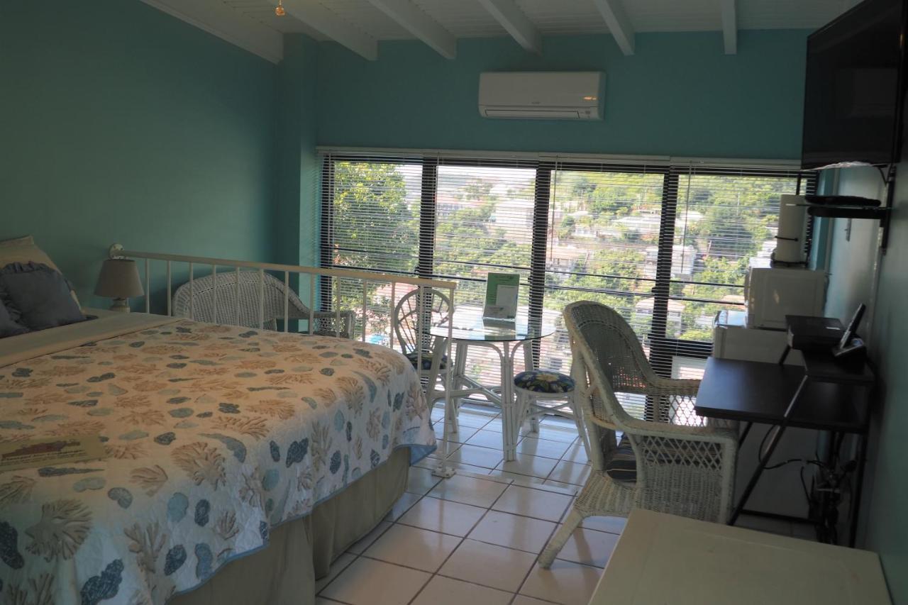 The Green Iguana Hotel Charlotte Amalie Eksteriør billede