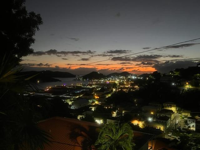 The Green Iguana Hotel Charlotte Amalie Eksteriør billede