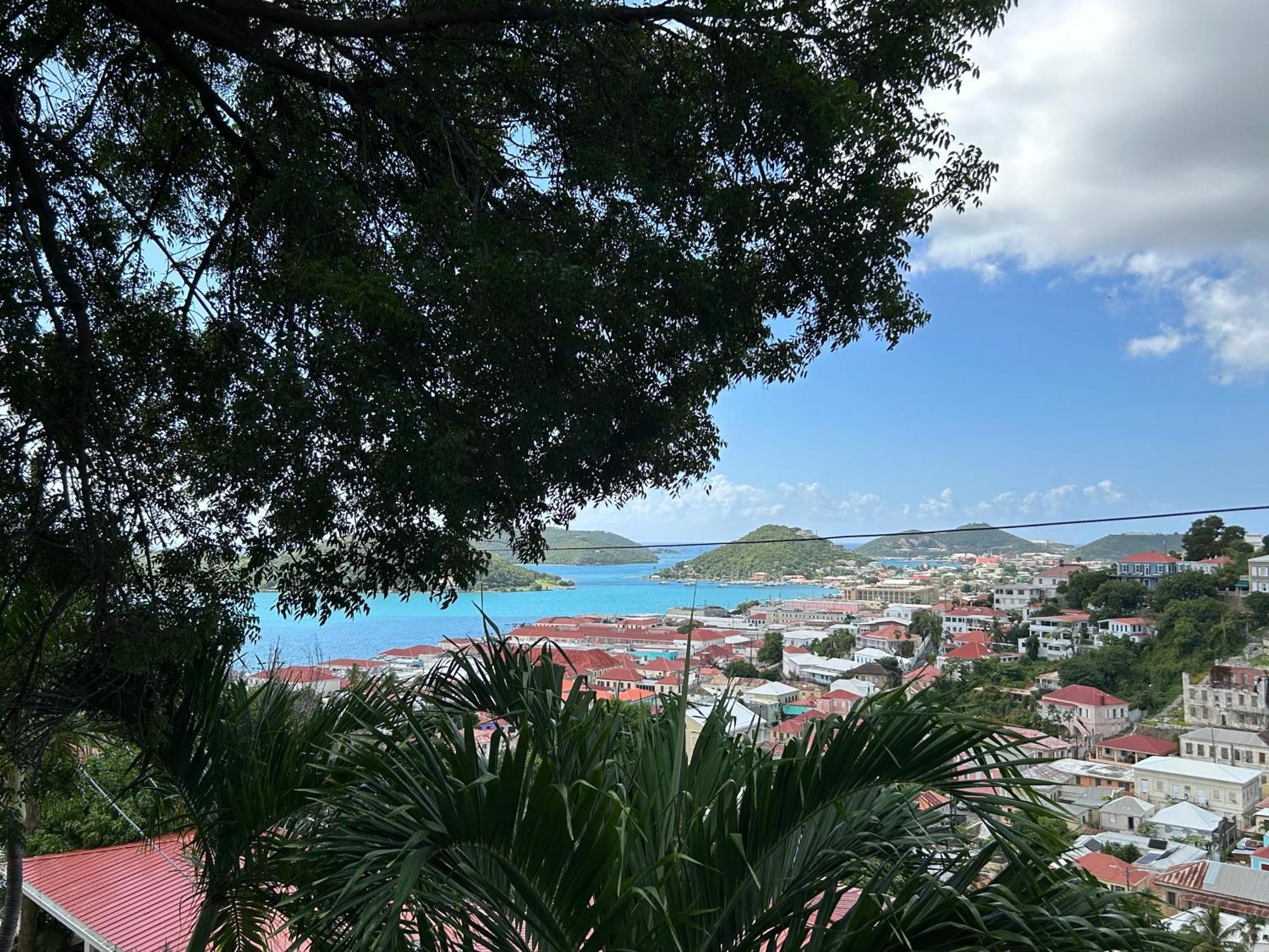 The Green Iguana Hotel Charlotte Amalie Eksteriør billede