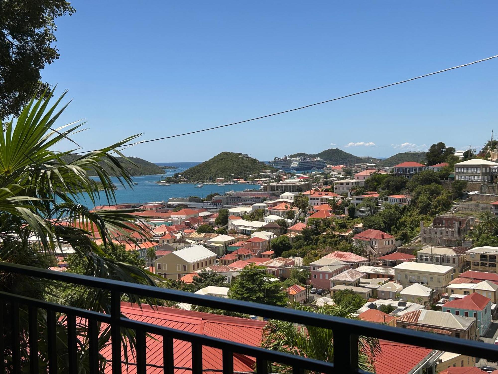 The Green Iguana Hotel Charlotte Amalie Eksteriør billede